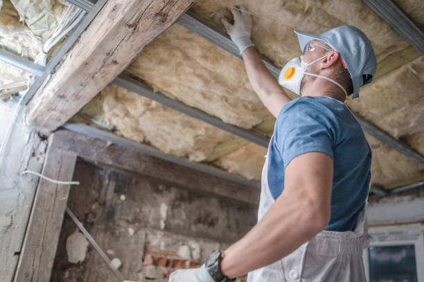 Best Insulation Contractors for Homes  in Telluride, CO