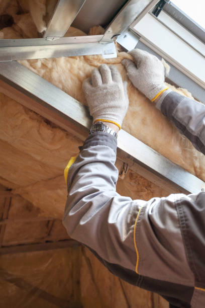 Best Spray Foam Insulation  in Telluride, CO