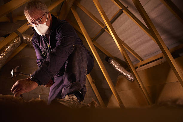 Best Attic Insulation Installation  in Telluride, CO